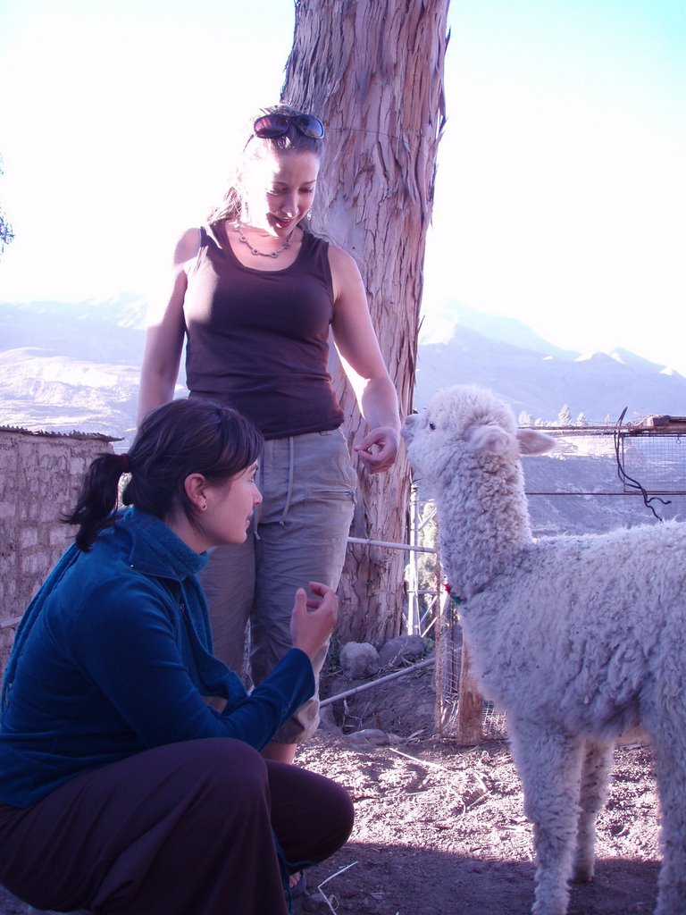 Top 10 Lessons Learned in Peruvia