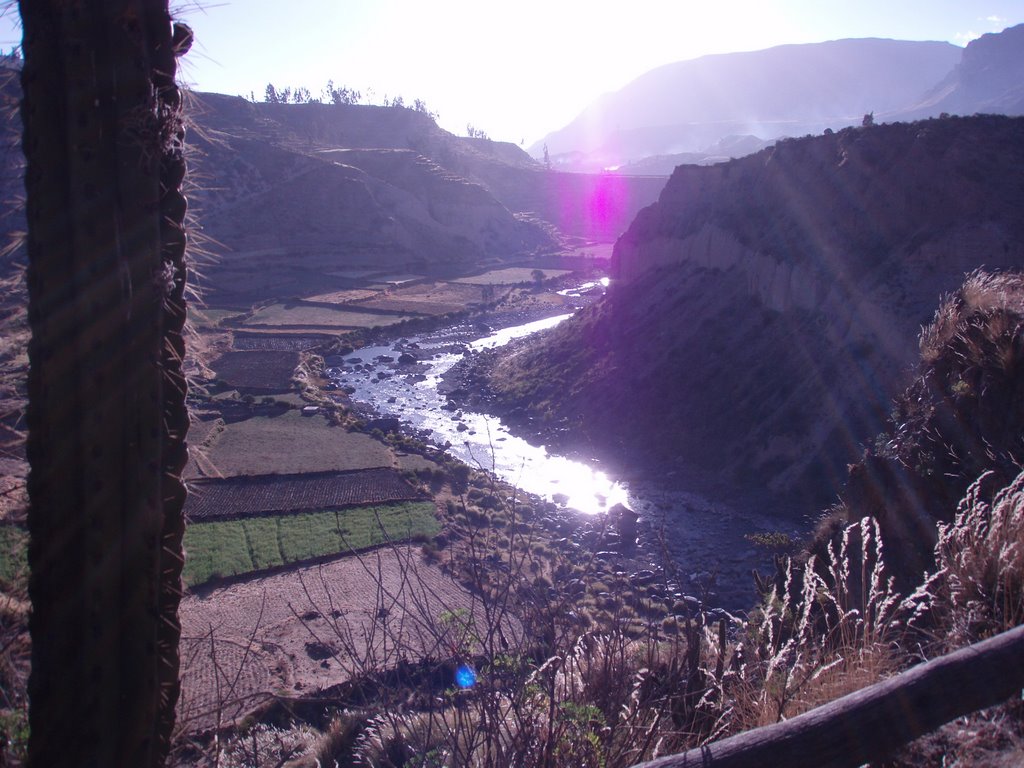 Stranded in Colca Canyon, Peru