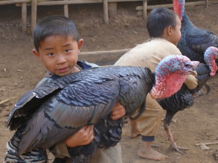 The Turkey Trek