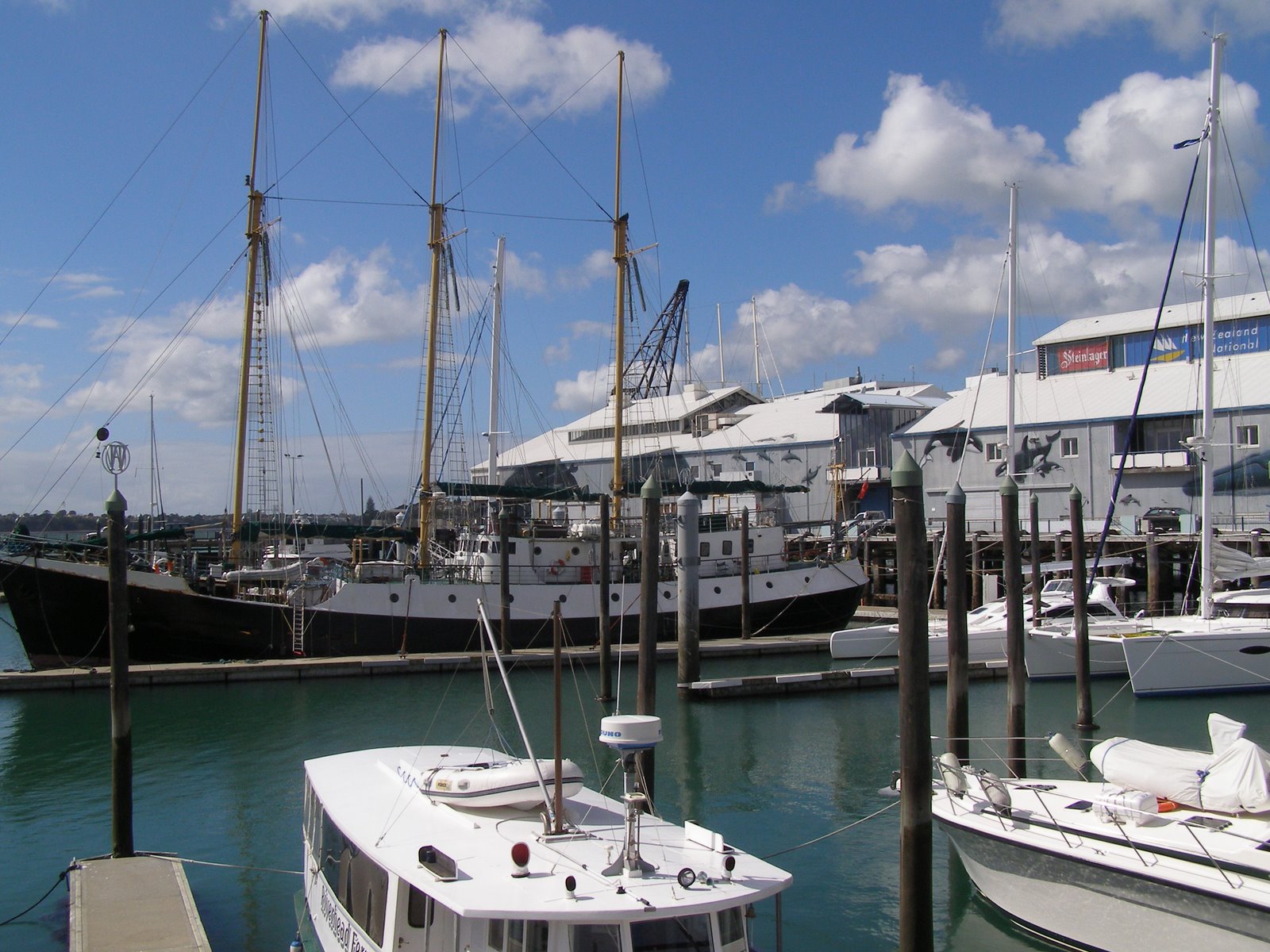 Sweet As! Our Week in the City of Sails
