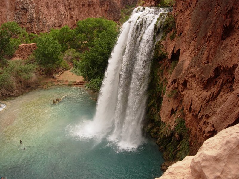 Where the Wild Things Are: Havasu Falls