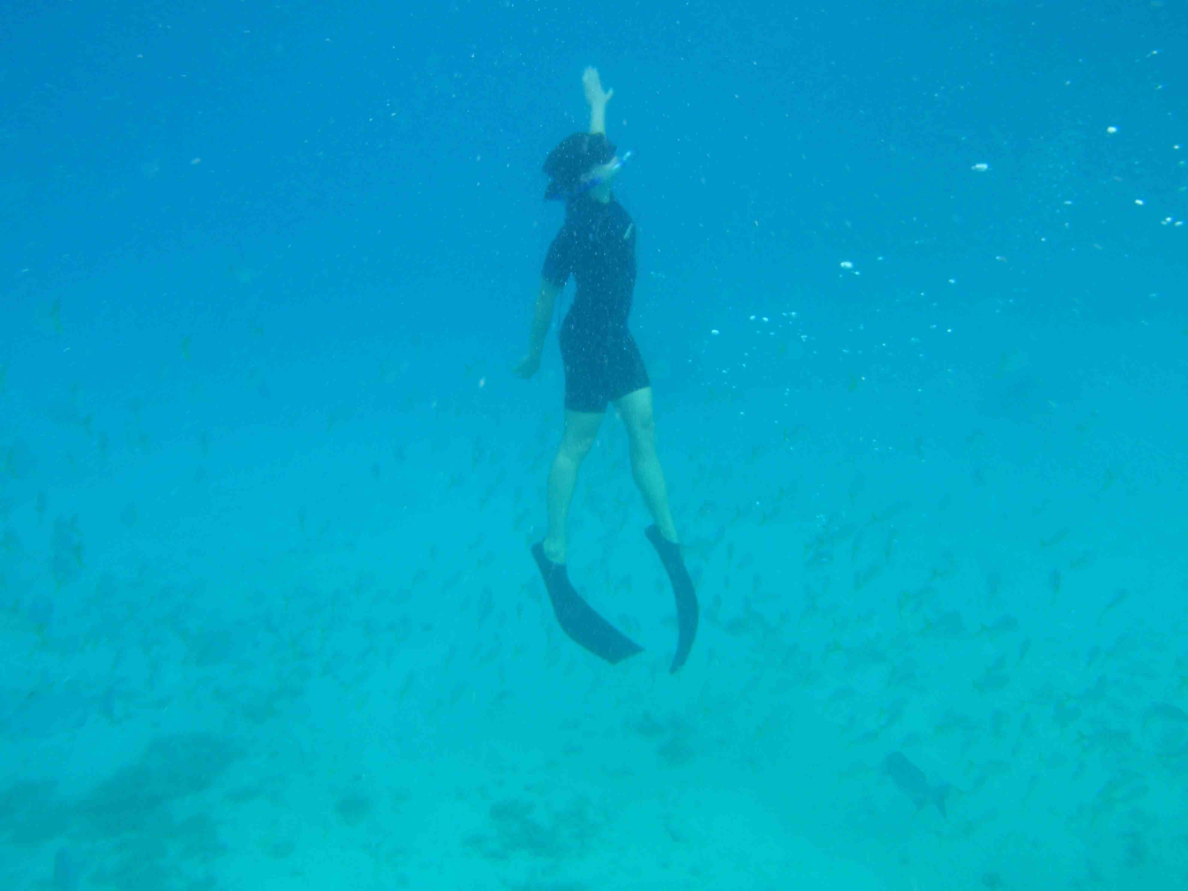 Lost in Belize I: Diving the Blue Hole
