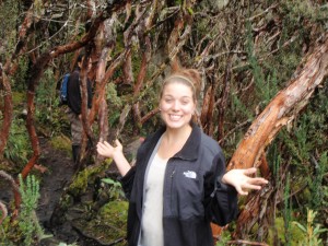 Dispatches from South America: Cuenca, Ecuador City Guide