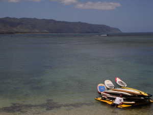 One Perfect Day in Oahu