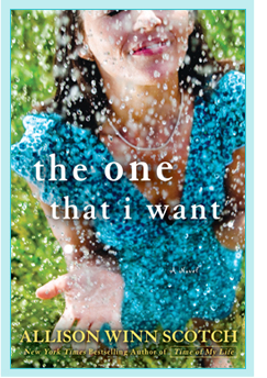 Summer Book Review: The One That I Want
