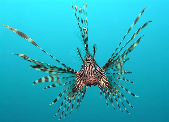 Visit the Florida Keys Eco-Discovery Center