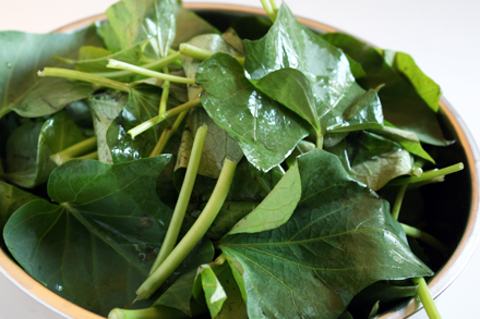 LG Food News: 9.4.10