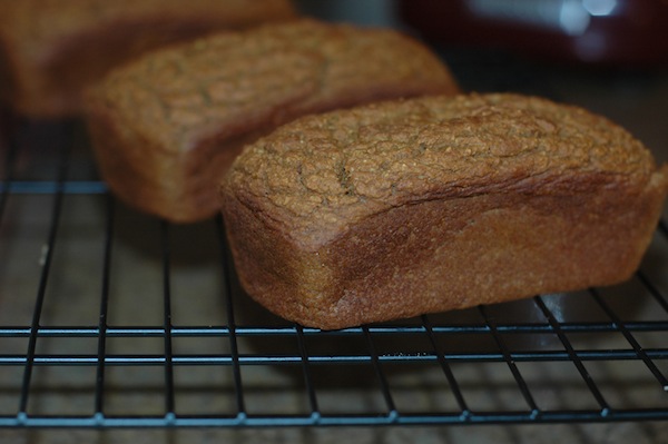 What to Eat Now: The Food News 11.12.10