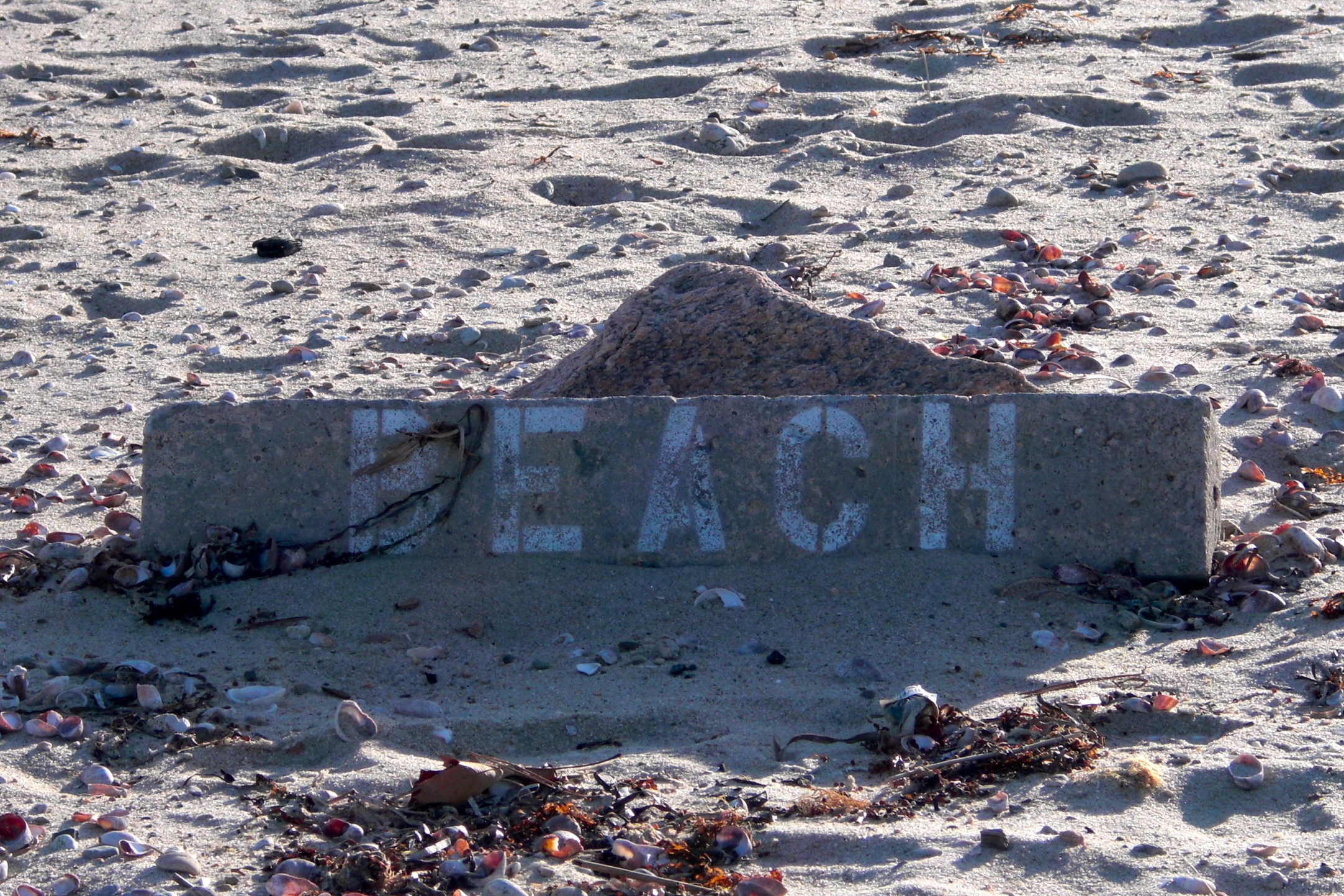 5 Reasons to Visit a Northern Beach in Winter