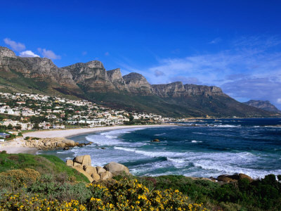 Service-Learning Study Abroad Programs