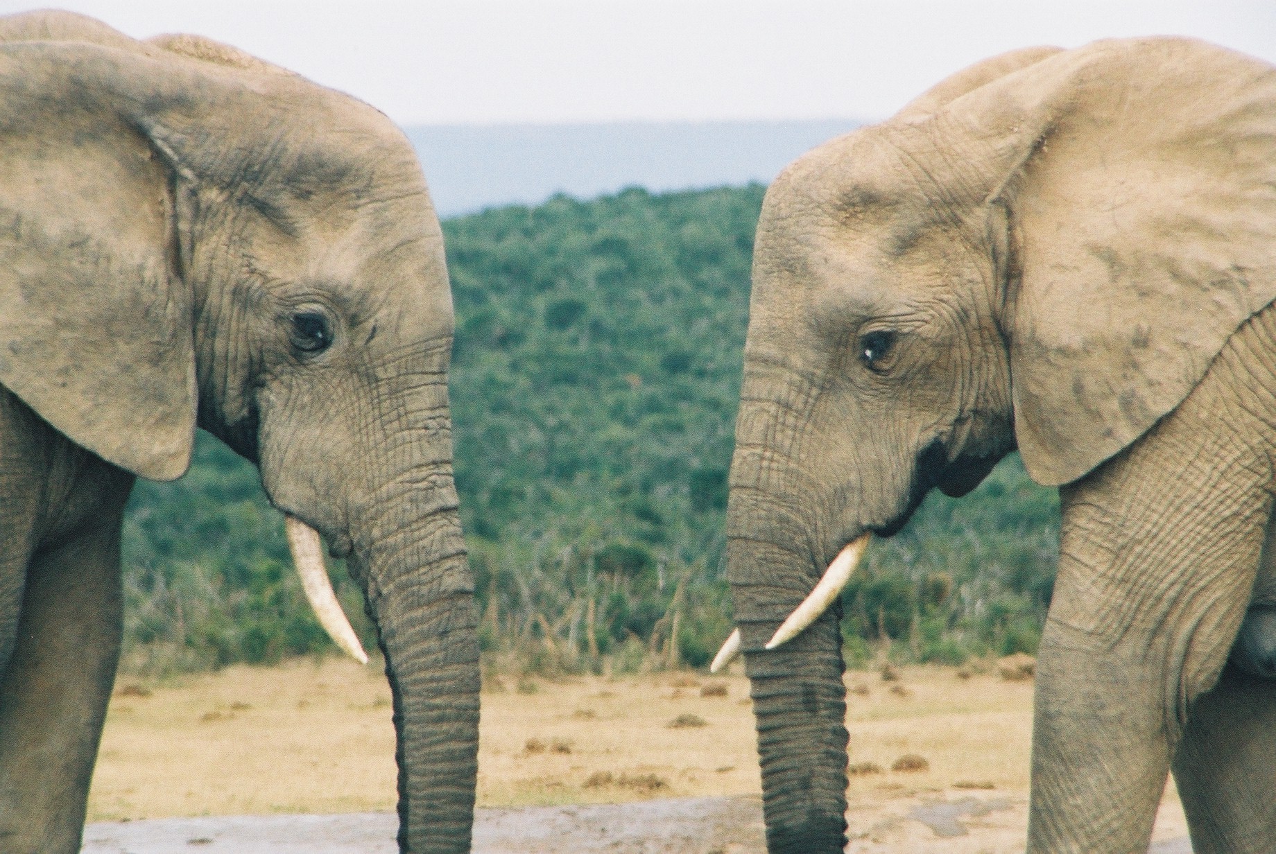 The LG Travel News Roundup: 3.18.11
