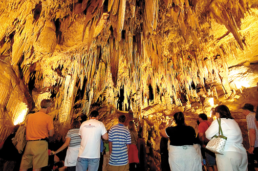 Alternative Capital: 5 Lesser-Known Sights to Explore in Washington D.C.