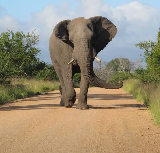 What to do in Johannesburg