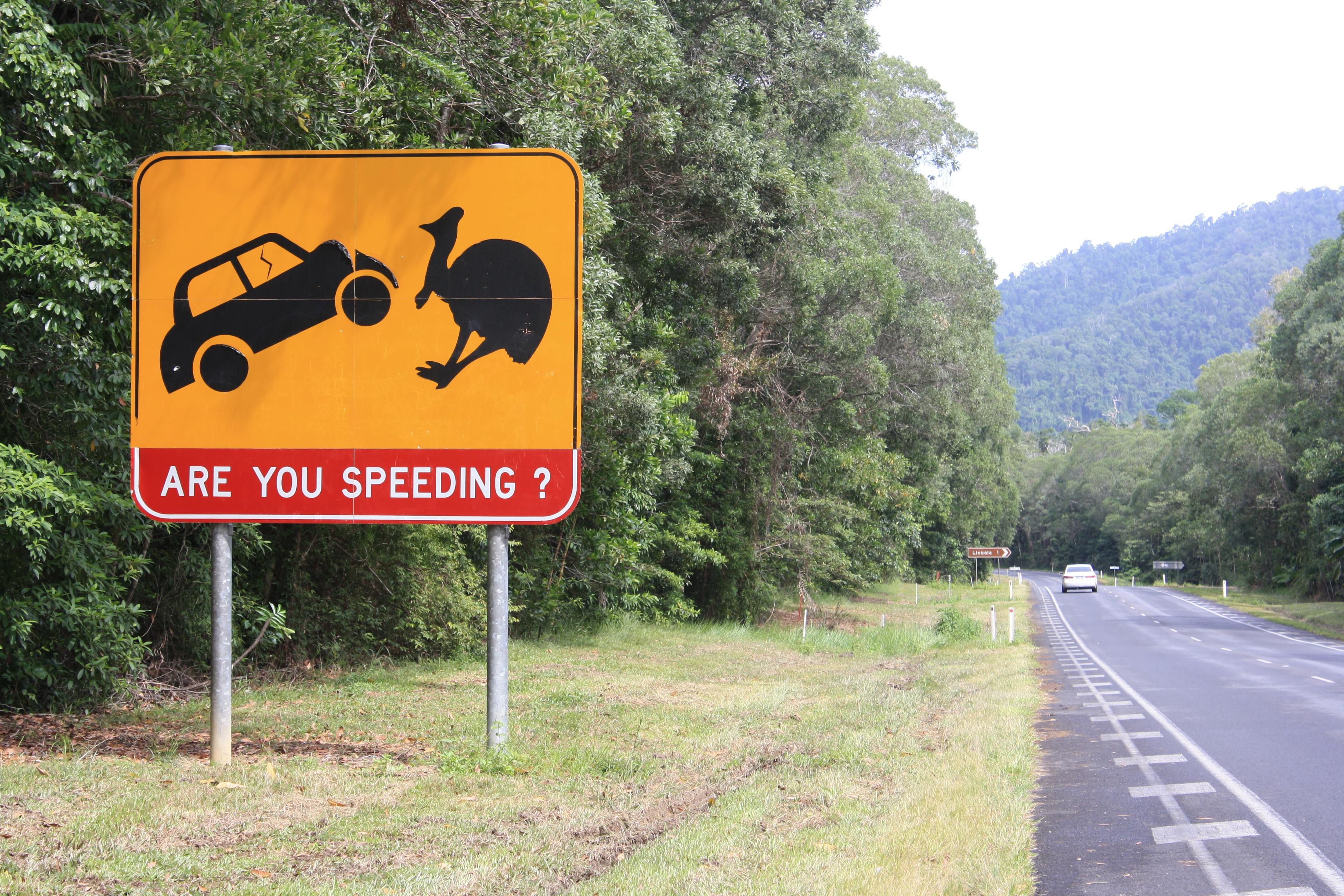 Exploring Australia’s East Coast