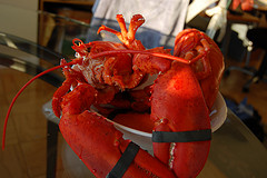 5 Unique Food Festivals For Your Summer Vacation