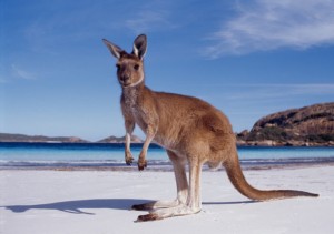 Australia: A Laid-Back & Down-to-Earth Country