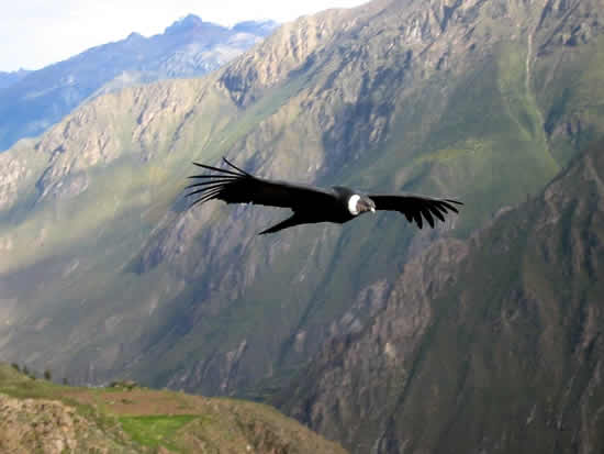 Peru and Beyond: 5 Can’t-Miss Spots to Explore