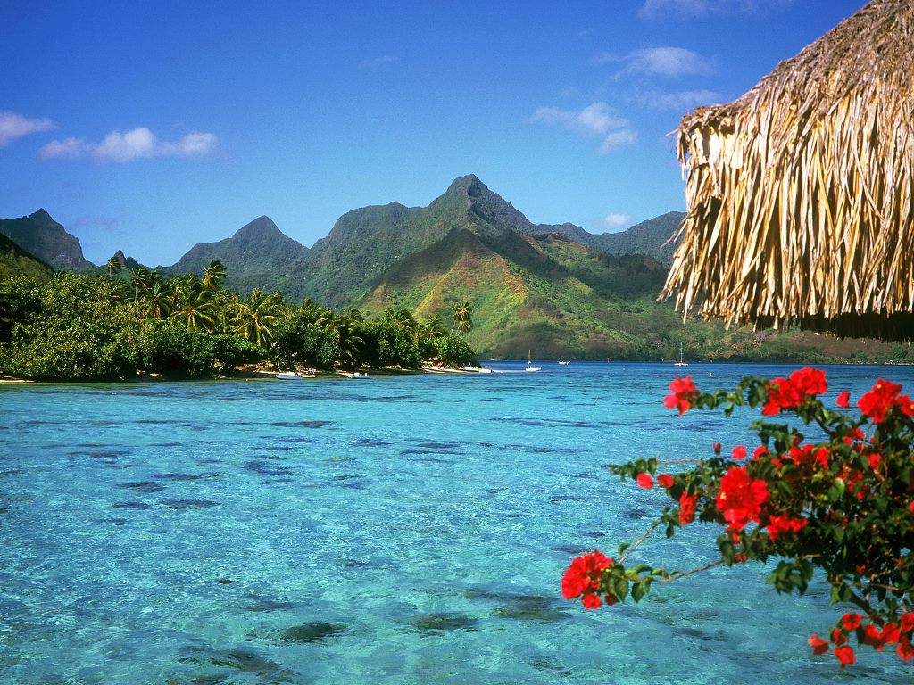 A Ticket to Paradise: French Polynesia