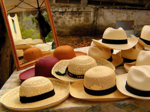 Panama Hat Panama Hat