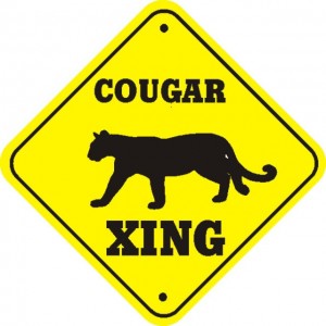cougar xing cougar xing