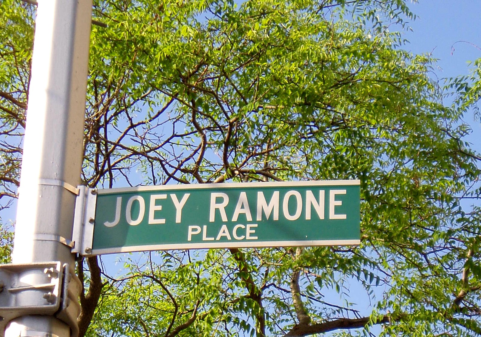 Explore Rock and Roll New York City
