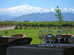 View at a Winery, Mendoza View at Winery, Mendoza