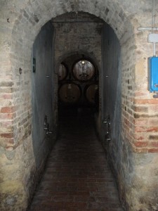 Cantine Contucci Cantine Contucci