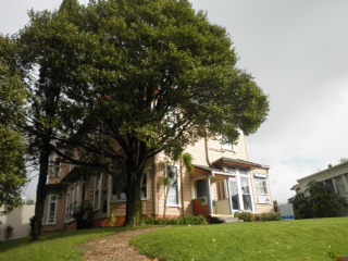 Hostel Review: Ponsonby Backpacker Hostel, Auckland, NZ